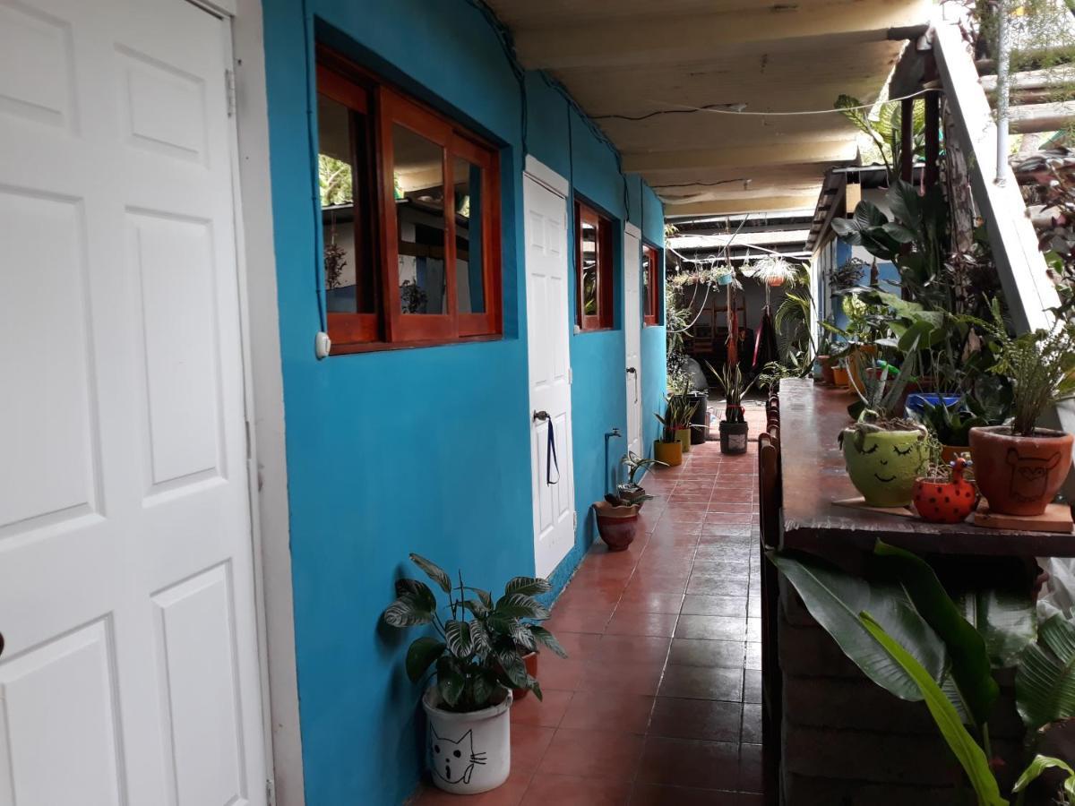 Hostal Javier'S House Sjs San Juan del Sur Dış mekan fotoğraf