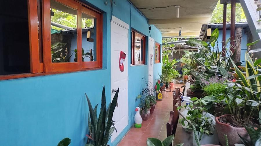Hostal Javier'S House Sjs San Juan del Sur Dış mekan fotoğraf