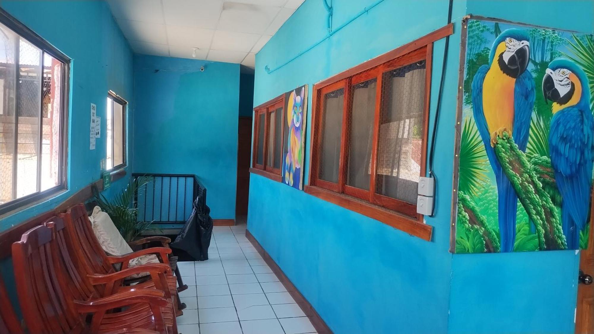 Hostal Javier'S House Sjs San Juan del Sur Dış mekan fotoğraf